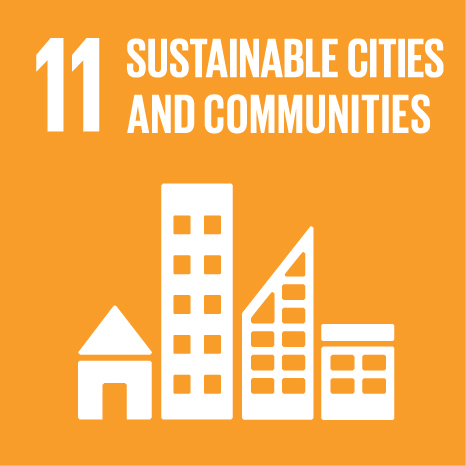 E SDG 11