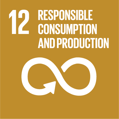 E SDG 12