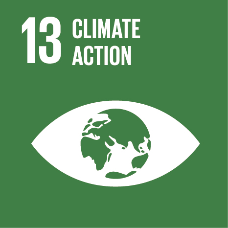 E SDG 13