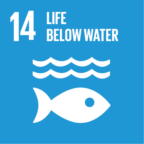 E SDG 14