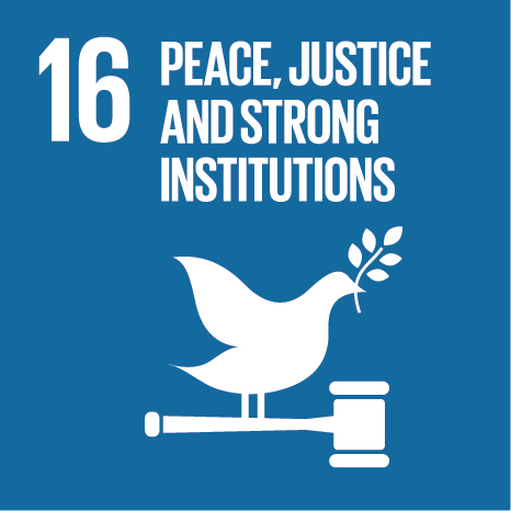 E SDG 16