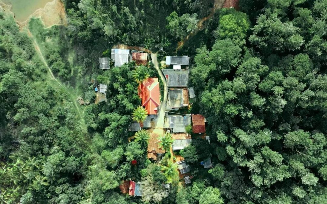 Panama Land Reforestation